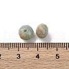 Acrylic Beads OACR-Z025-09-3