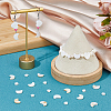 3 Strands 2 Styles Natural Freshwater Shell Beads Strands SHEL-HS0001-10-5