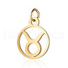 201 Stainless Steel Charms STAS-T036-T513-2-1