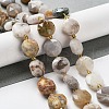 Natural Crazy Agate Beads Strands G-NH0004-032-2