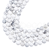 ARRICRAFT Natural Howlite Beads Strands G-AR0002-16-1