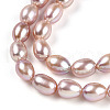 Natural Cultured Freshwater Pearl Beads Strands PEAR-N012-AA-03-4