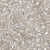6/0 Glass Seed Beads X2-SEED-A005-4mm-21-2