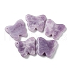 Natural Lepidolite/Purple Mica Stone Pendants G-D087-01G-1