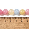 Dyed Natural Malaysia Jade Beads Strands G-G021-02C-16-3
