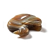 Natural Brazilian Agate Display Decorations DJEW-A008-07-4