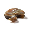 Natural Brazilian Agate Display Decorations DJEW-A008-07-4