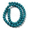 Natural Howlite Beads Strands G-B049-E01-01B-3