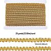 Polyester Ribbon OCOR-WH0068-04B-2