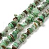 Natural Chrysoprase Beads Strands G-G0004-D01-B-1