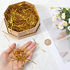 SOFPLATE 2 Sets Plastic Shred Filler DIY-SP0002-22-3
