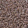 MIYUKI Delica Beads SEED-X0054-DB1749-2