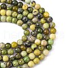 Natural Serpentine Beads Strands G-N166-4-2