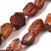 Natural Carnelian Beads Strands G-S386-C06-2