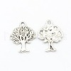 Tibetan Style Alloy Pendant TIBEP-LF10394YKG-AS-FF-1