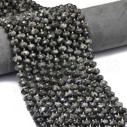 Natural Larvikite Beads Strands G-P573-A54-01-1