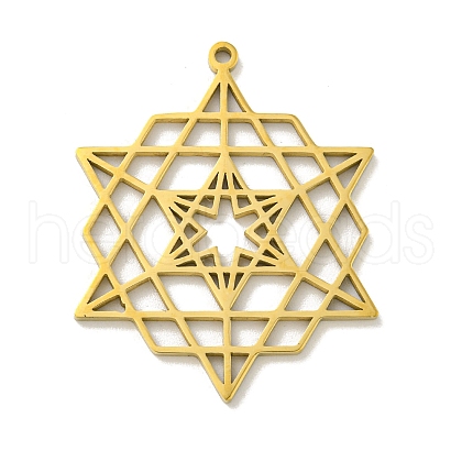304 Stainless Steel Pendants STAS-M067-09G-1