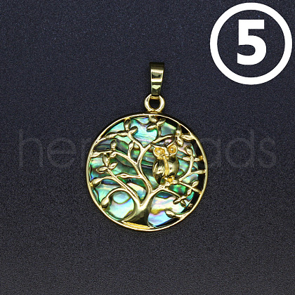 Natural Abalone Shell/Paua Shell Pendants PW-WG52198-05-1