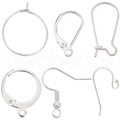Beebeecraft 120Pcs 6 Style 304 & 316 Surgical Stainless Steel Earring Findings DIY-BBC0001-75-1