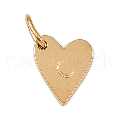 304 Stainless Steel Charms STAS-L291-01G-C-1