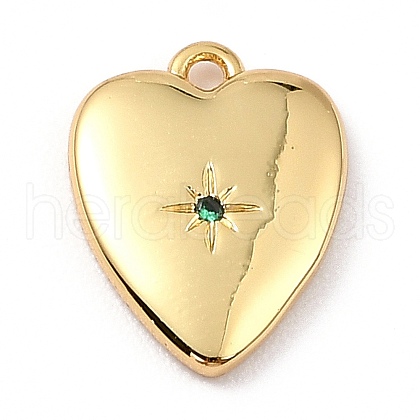 Brass Micro Pave Cubic Zirconia Charms ZIRC-I054-14G-04-1