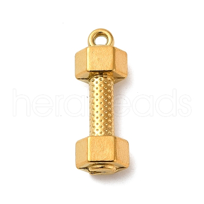 304 Stainless Steel Pendants STAS-K273-01G-1