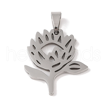 Non-Tarnish 201 Stainless Steel Pendants STAS-A094-21P-1