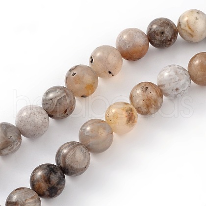 Natural Bamboo Leaf Agate Round Bead Strands G-M248-10mm-04-1