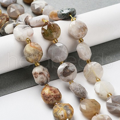 Natural Crazy Lace Agate Beads Strands G-NH0004-032-1