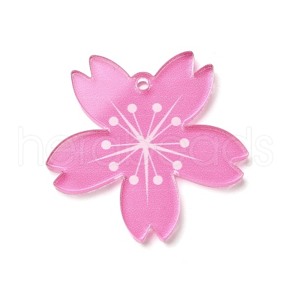 Transparent Acrylic Pendants OACR-H047-01-1
