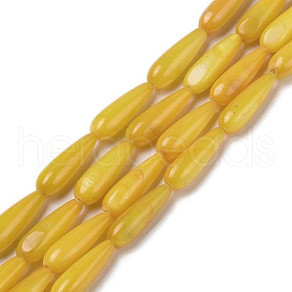 Natural Freshwater Shell Beads Strands SHEL-A004-03D-1