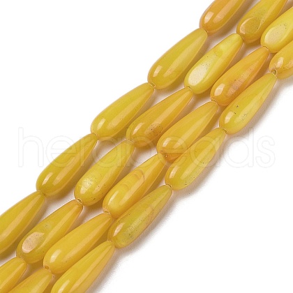 Natural Freshwater Shell Beads Strands SHEL-A004-03D-1