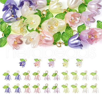 25Pcs 5 Colors Acrylic Charms KY-TA0001-22-1