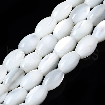 Natural Trochid Shell/Trochus Shell Beads Strands X-SSHEL-S266-021A-01-1