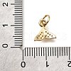 Fishtail Brass Micro Pave Cubic Zirconia Charms KK-L230-14G-3