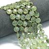 Natural Prehnite Beads Strands G-C116-A115-01-1