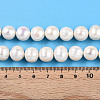 Natural Cultured Freshwater Pearl Beads Strands PEAR-N016-11A-5