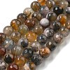 Natural Agate Beads Strands G-M437-B01-03-1
