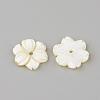 Natural Freshwater Shell Beads SHEL-Q008-53-2