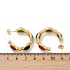 304 Stainless Steel Synthetic Turquoise & Synthetic Agate Stud Earrings EJEW-M105-01G-6