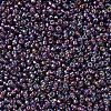 MIYUKI Round Rocailles Beads SEED-G007-RR1013-3