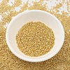 MIYUKI Delica Beads SEED-X0054-DB0031-2