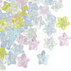 SUNNYCLUE Transparent Acrylic Beads MACR-SC0001-57B-1