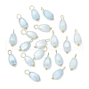 20Pcs Opaque Baking Painted Crackle Glass Charms PALLOY-JF03952-04-1