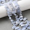 Natural Blue Lace Agate Beads Strands G-J403-03-5