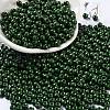 Baking Paint Glass Seed Beads SEED-H002-I-A520-1