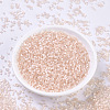 MIYUKI Round Rocailles Beads X-SEED-G007-RR2555-2