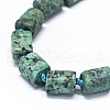 African Turquoise(Jasper) Beads Strands G-O170-109-3