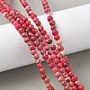 Dyed Natural Regalite/Imperial Jasper/Sea Sediment Jasper Beads Strands G-B124-C05-09-5
