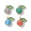 4pcs 4 Colors Natural Dyed Crackle Agate Round Fruit Charms with Acrylic Leaf PALLOY-TA00124-1